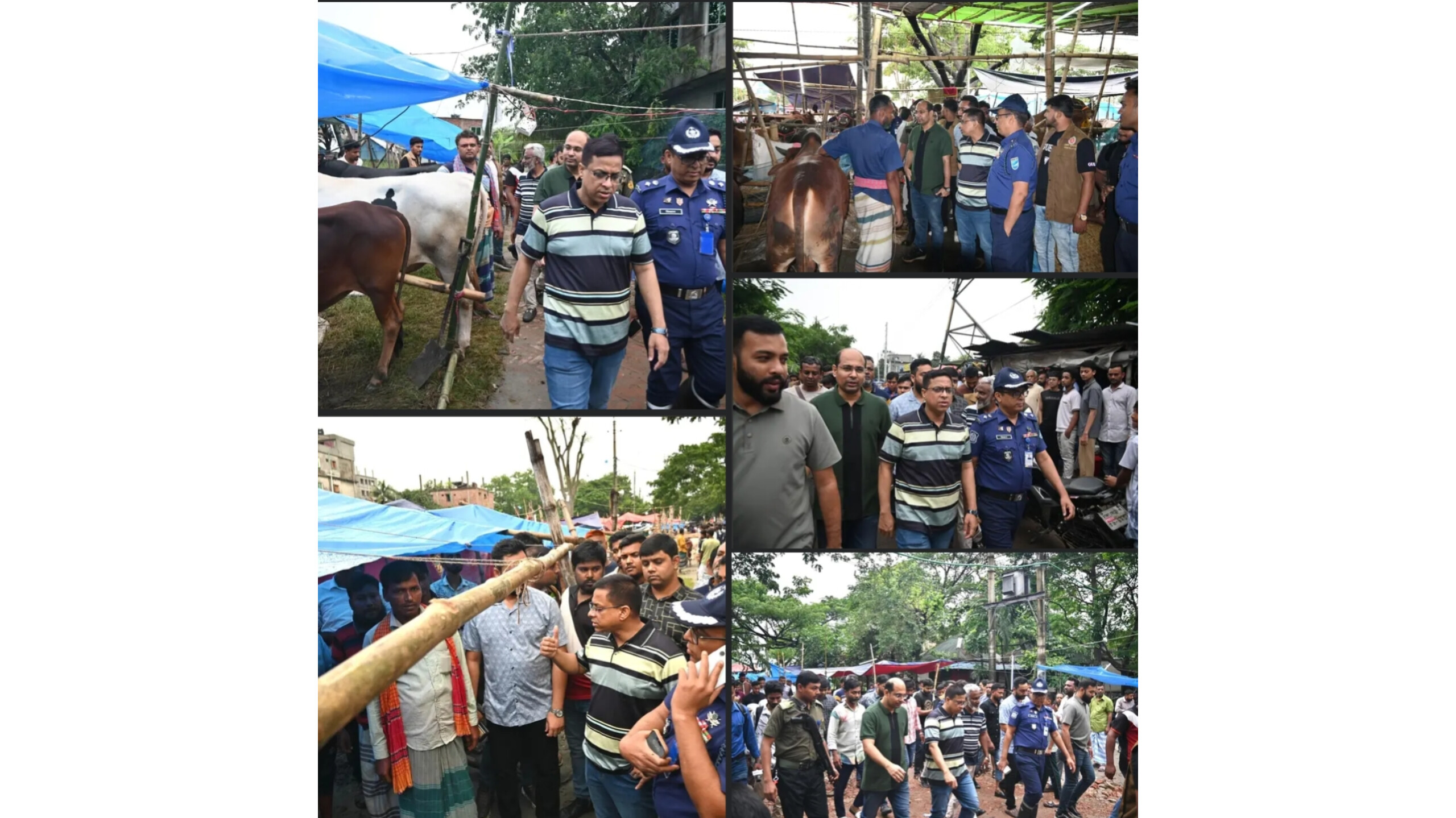 কোরবানির পশুর হাট পরিদর্শনে নারায়ণগঞ্জের জেলা প্রশাসক: অনিয়ম রুখতে কঠোর বার্তা