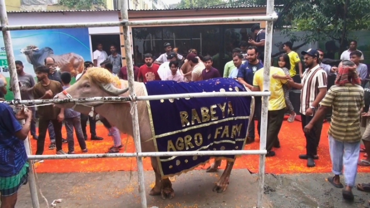 নারায়ণগঞ্জ থেকে রাজকীয় বিদায় নিলেন ‘ডোনাল্ড ট্রাম্প’!