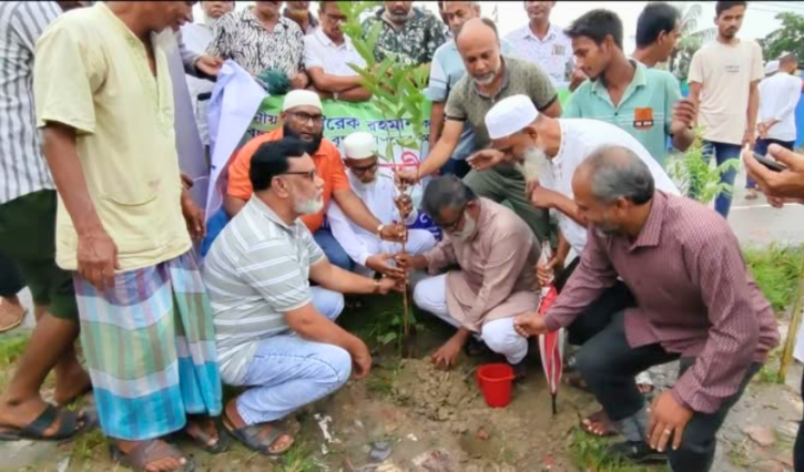 নারায়ণগঞ্জে সাবেক যুবদল নেতা খোরশেদের নেতৃত্বে দুই মাসব্যাপী বৃক্ষরোপণ কর্মসূচি অব্যাহত